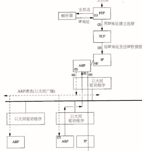 arp是哪一个层的协议,arp协议在哪一层图1