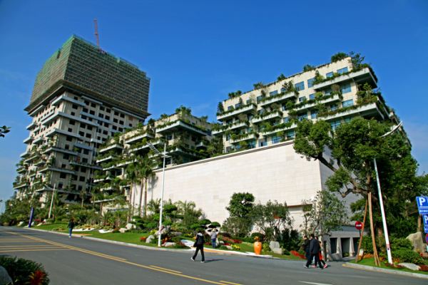 碧桂园大桥由来,碧桂园狗住了图1