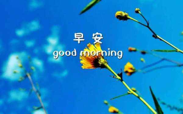 早上好可以用morning,早安可以只说morning图2