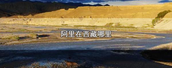 阿里地区属于新疆还是西藏,阿里在西藏哪里地图图1