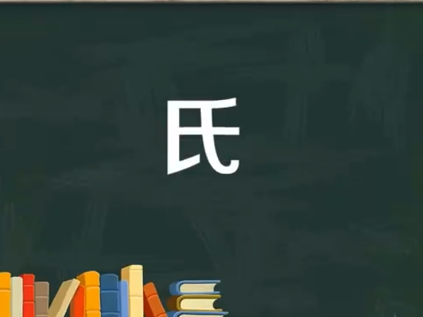 氏怎么读 拼音,氏的拼音图3