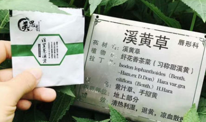 溪皇薏湿茶怎么喝,美思康宸溪皇薏湿茶能减肥