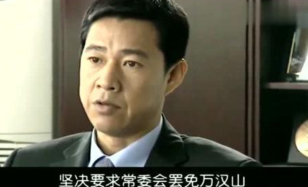 罗成市长是哪部电视剧,万汉山龙书记是哪部电视剧里的人物图3