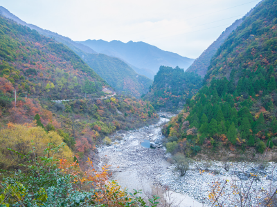 周至县景区有哪些,周至县景点有哪些图3