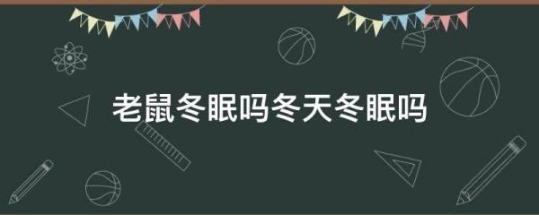 老鼠冬眠 百度百科,老鼠在冬天冬不冬眠图3