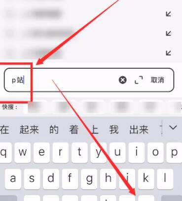 苹果手机如何上p站,ios怎么访问p站图3