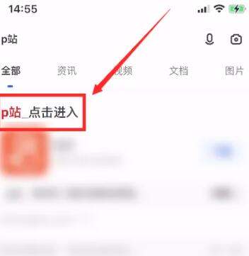 苹果手机如何上p站,ios怎么访问p站图4