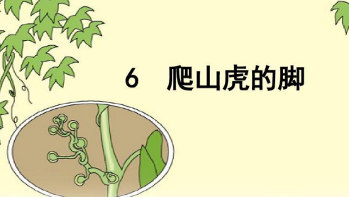 爬山虎的细丝有什么作用,爬山虎的脚把细丝比作什么图2