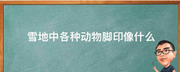 大象在雪地里踩的脚印像什么,小动物的脚印踩在雪地里像什么图1