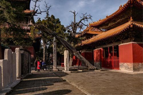 鲁西南是哪几个城市,鲁东鲁南鲁北鲁中鲁西分别包含哪些地区