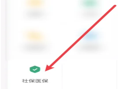 手机微信怎么交农保,微信怎么缴费农村合作医疗保险显示登记信息异常咋回事图4