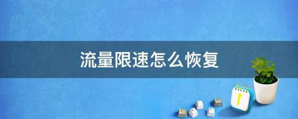 手机网速限速怎么解除,手机被限速了怎么办