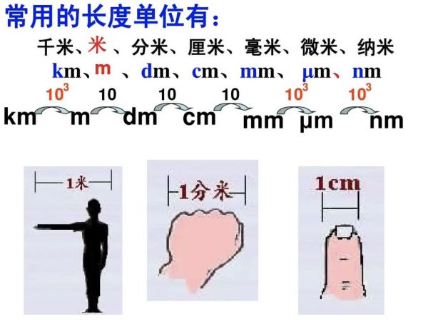 大米发源地是哪个国家最早,大米起源于哪个国家