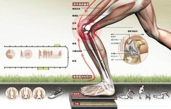长跑什么先着地,长跑是脚尖先落地图5