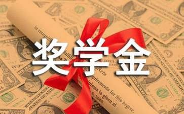 励志奖学金是什么意思,国家励志奖学金是什么意思图3