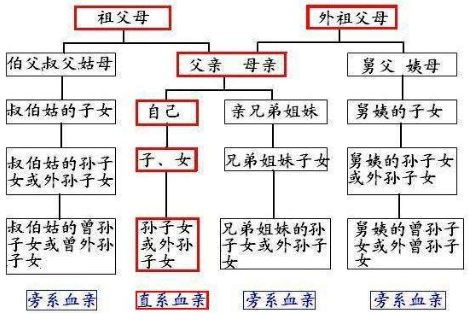 亲兄弟的儿子称为什么,我亲弟的儿子称为什么喊我什么图1