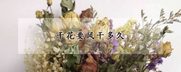 鲜花干花要倒挂几天,玫瑰干花制作方法倒挂风干要多久图5