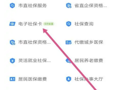 电子社保卡怎么修改密码,电子社保卡密码忘记了怎么办图3