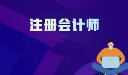 cpa与acca的区别,cpa和acca有什么区别哪个重要图2