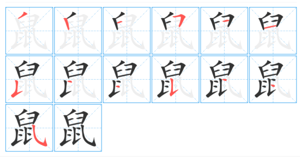 鼠的拼音 是一种怎么样的生物,老鼠拼音怎么打图5