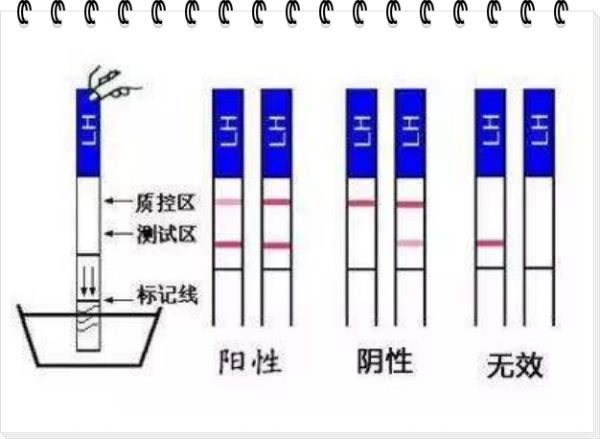 阳性阴性什么意思,什么是阳性什么是阴性怎么判断图2