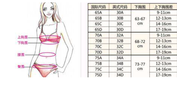 胸围80cm多少罩杯,80cm胸围多少罩杯十七岁图2