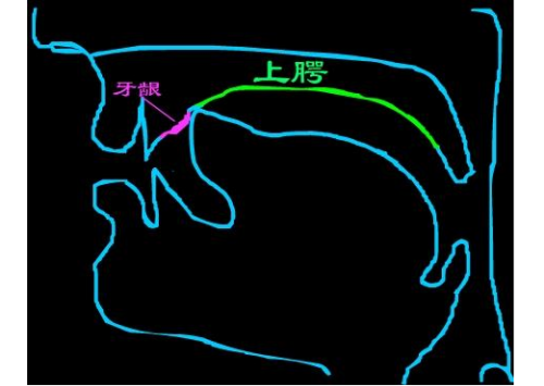 平舌音有哪些 平舌翘舌要分清,平舌音翘舌音怎么区分简单图2