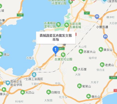 斗南鲜花批发市场在哪里,昆明斗南花卉市场在哪里图2