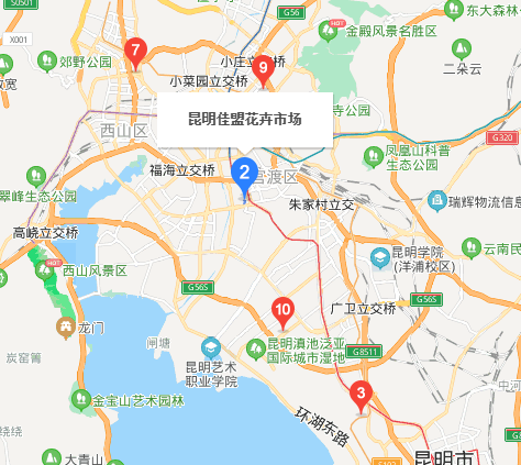 斗南鲜花批发市场在哪里,昆明斗南花卉市场在哪里图3