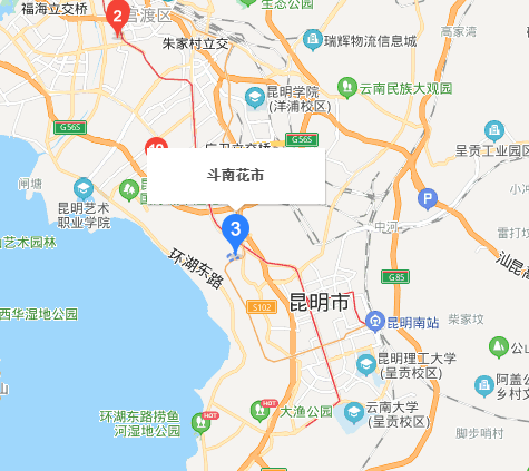 斗南鲜花批发市场在哪里,昆明斗南花卉市场在哪里图4