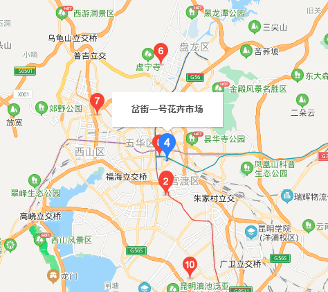 斗南鲜花批发市场在哪里,昆明斗南花卉市场在哪里图5