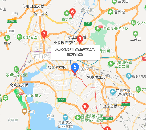 斗南鲜花批发市场在哪里,昆明斗南花卉市场在哪里图6