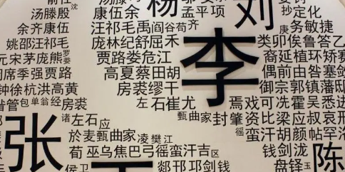 姓氏是什么意思,姓氏是什么意思图2