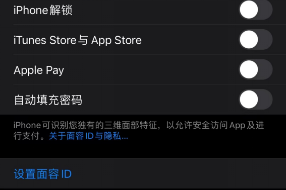 苹果手机iphone 怎么不能设置面容ID了,苹果面容设置不了是咋回事换一个人可以图3