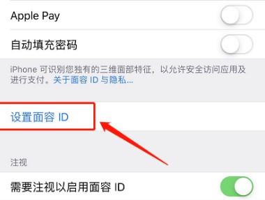苹果手机iphone 怎么不能设置面容ID了,苹果面容设置不了是咋回事换一个人可以图9