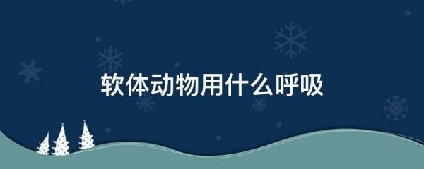 腔肠动物用什么呼吸,腔肠动物软体动物甲壳动物都是用腮呼吸如果不是哪些是那些不是...图1