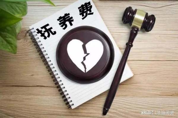 不给抚养费有什么后果,离婚了不给抚养费有什么后果图2