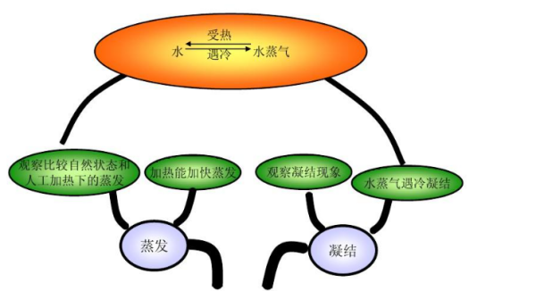 科学思维导图怎么画,四年级上册科学第一单元思维导图怎么画图6