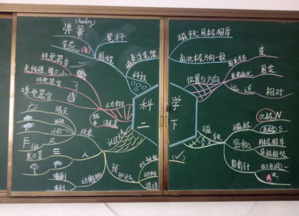 科学思维导图怎么画,四年级上册科学第一单元思维导图怎么画图7