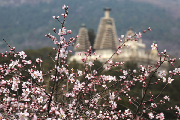 香山高度是多少千米,香山有多高图1