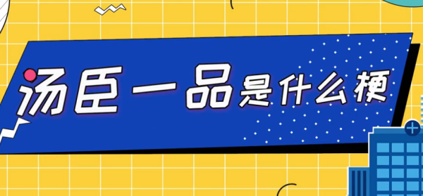 汤臣一品是什么意思,汤臣一品是什么意思网络语图1