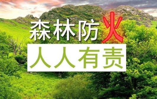 森林草原防火的重要性,内蒙古森林草原防火条例最新图2