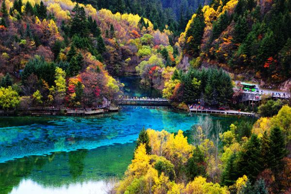 四川九寨沟门票多少钱,九寨沟什么时候免门票图1