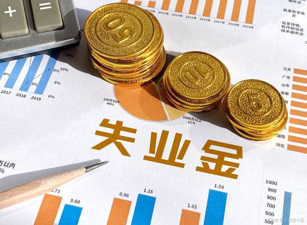 失业补助金与失业保险金的区别,失业保险金和失业补助金的区别图2