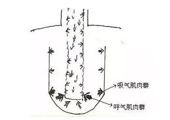 怎么练歌唱技巧,怎样提高自己的唱歌水平图5