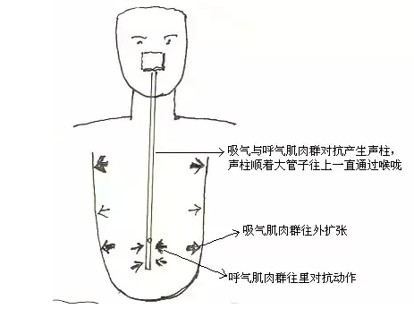 怎么练歌唱技巧,怎样提高自己的唱歌水平图6