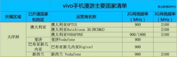 vivo手机出国能用,iqoopro可以用普通充电器图10