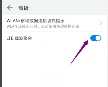 手机承载系统lte能打开,承载系统lte打开会提高网速图5