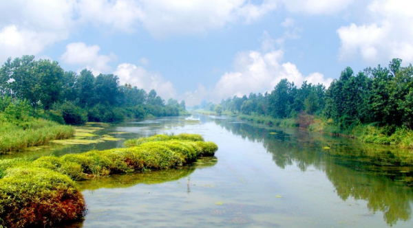 保护湿地的意义是什么,湿地保护的重要性有哪些图1