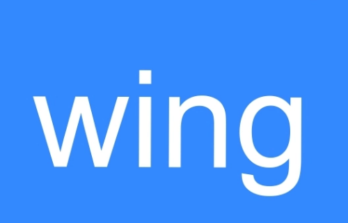 wing是什么梗 啥意思,wing是什么意思图1